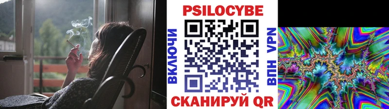 что такое наркотик Ивдель блэк спрут ссылка shop какой сайт Псилоцибиновые грибы Cubensis